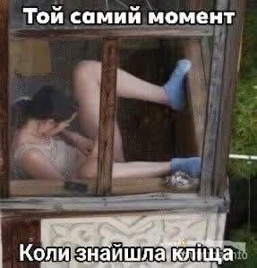 164731 - Адский циник!