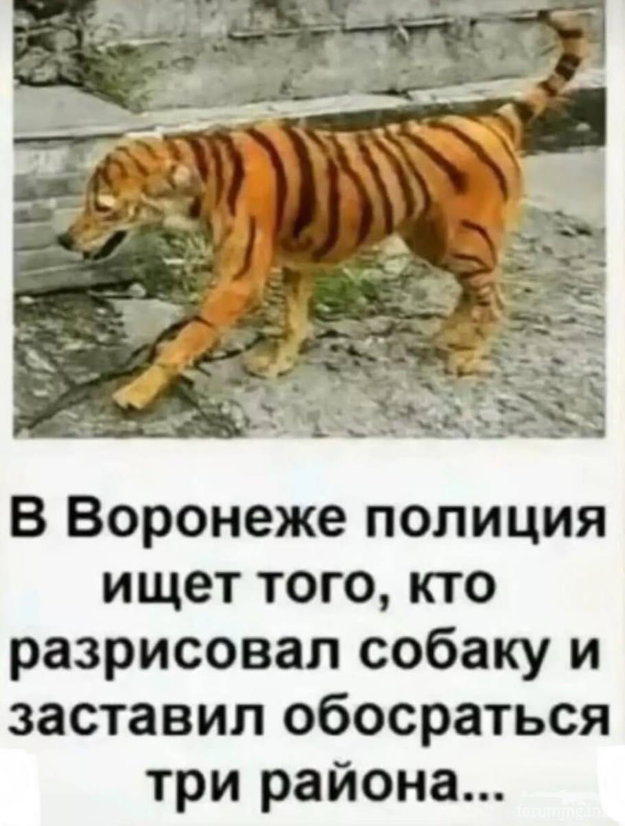 164755 - Супер прикол! № 2