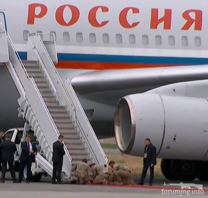 164927 - Желтовласка у власти.