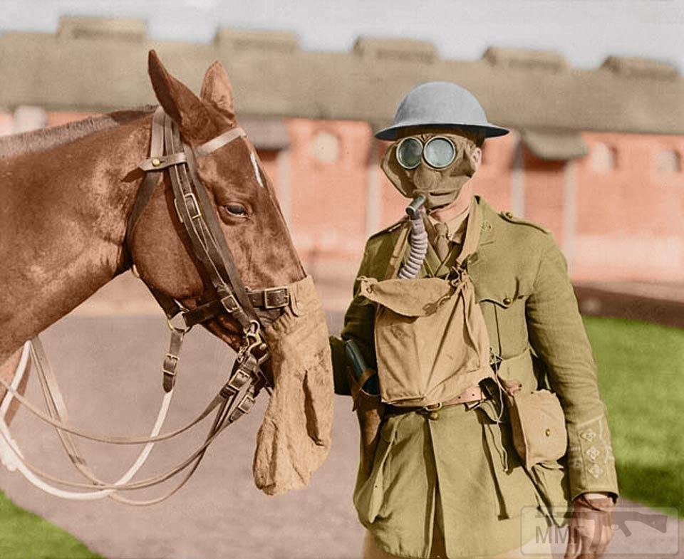 16498 - Военное фото. Западный фронт. 1914-1918г.г.