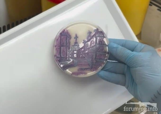 165144 - Живопись (21.83 КБ) 162 просмотра 165144 - Живопись