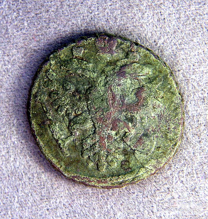 165414 - Интересные проходы деньга-полушка 1730-54 гг. на аукционах. (156.02 КБ) 1 просмотр 165414 - Интересные проходы деньга-полушка 1730-54 гг. на аукционах.