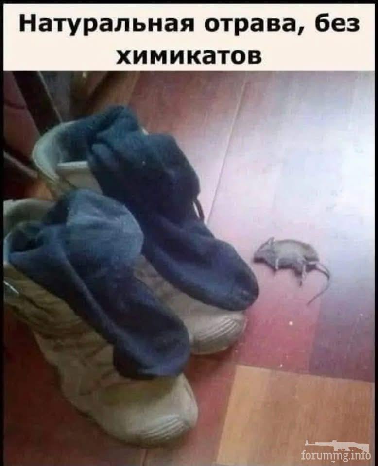 165476 - Адский циник! (50.72 КБ) 16 просмотров 165476 - Адский циник!