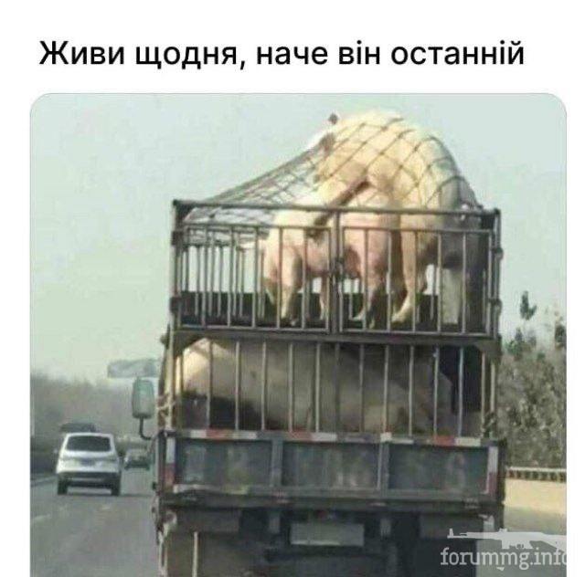 165954 - Супер прикол! № 2 (45.14 КБ) 30 просмотров 165954 - Супер прикол! № 2