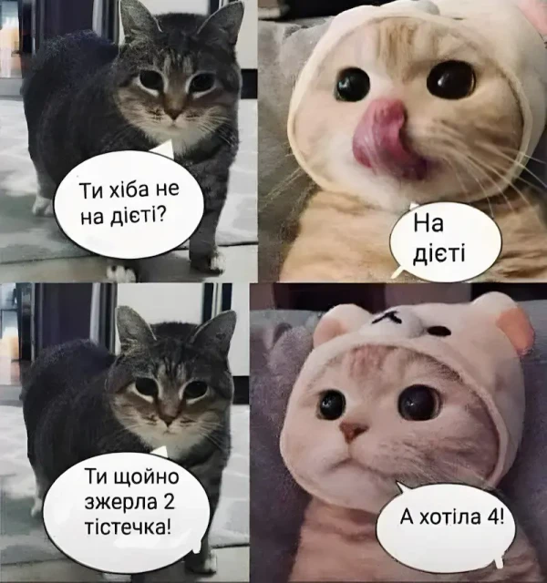 166642 - Смешные видео и фото с животными.