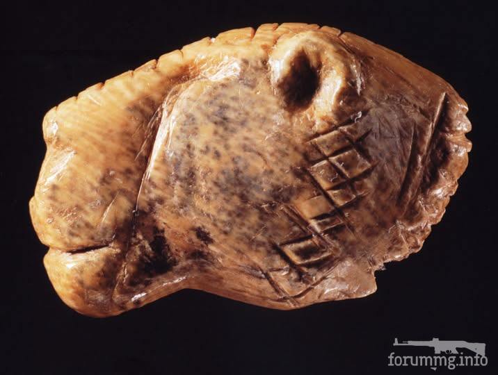 167204 - Офіцерський Клуб полку ММГ-"Собиратель"