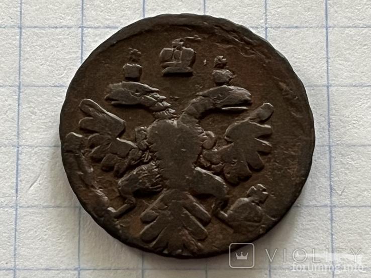 167298 - Интересные проходы деньга-полушка 1730-54 гг. на аукционах.