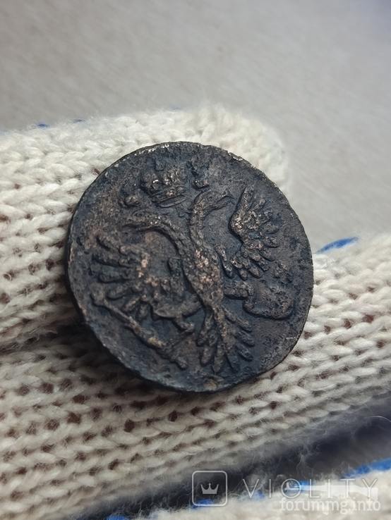 167349 - Интересные проходы деньга-полушка 1730-54 гг. на аукционах.