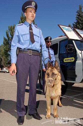 167411 - Наша милиция.