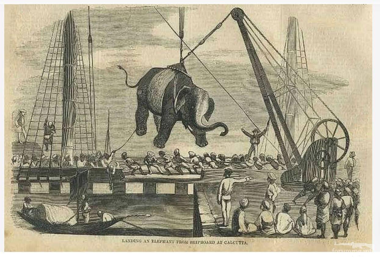 167495 - Просто интересные исторические факты. (187.35 КБ) 1 просмотр 167495 - Просто интересные исторические факты.