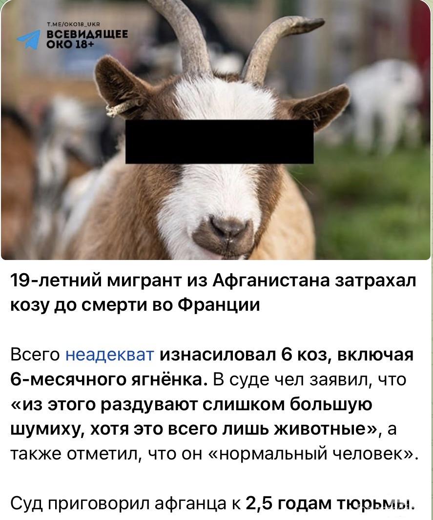 168394 - Страны Европейского Союза и Европа в целом.