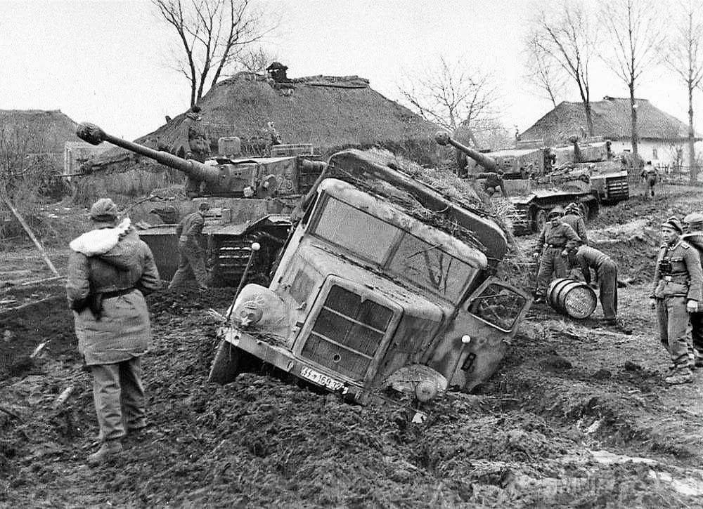 16879 - Военное фото 1941-1945 г.г. Восточный фронт.