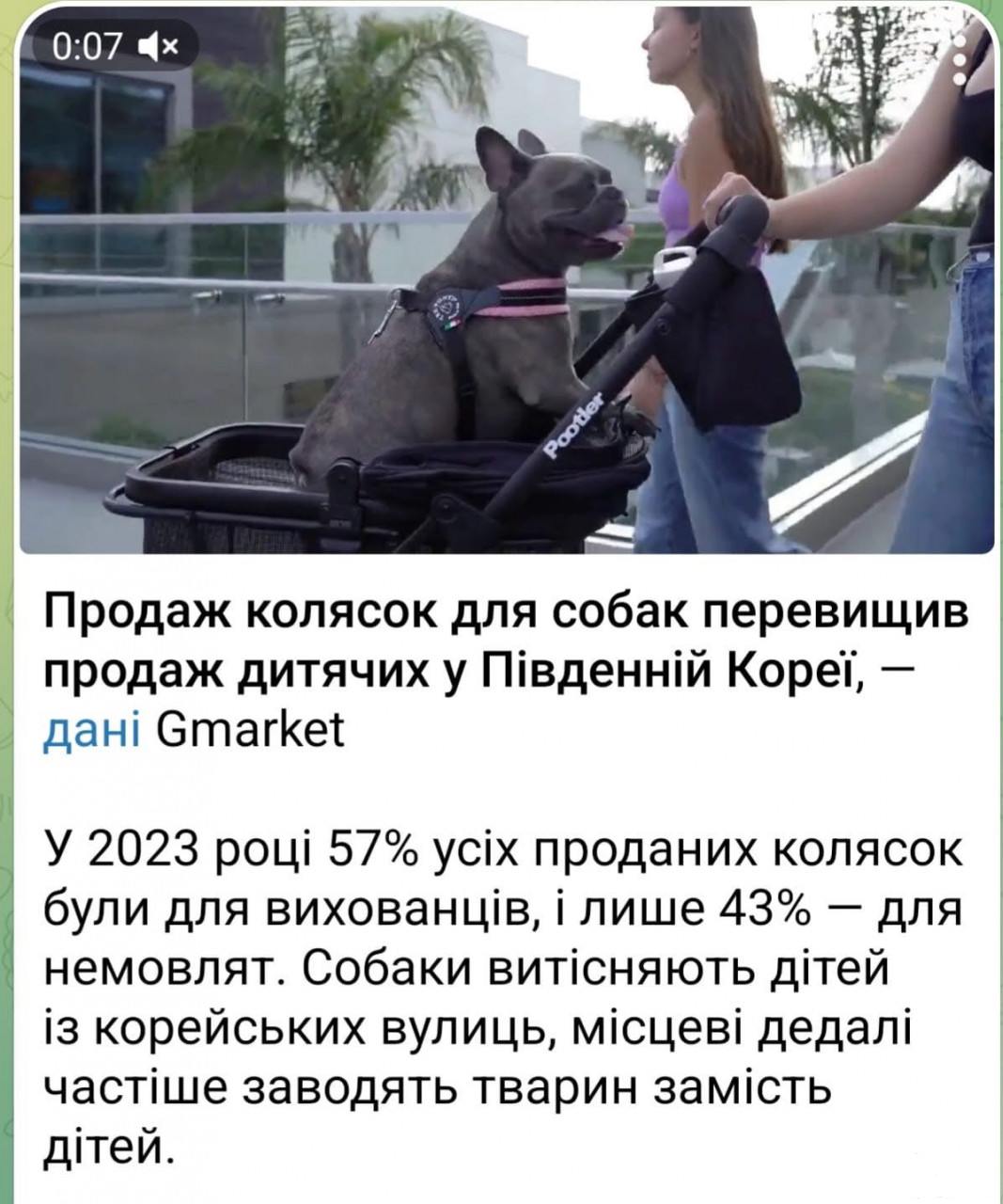 168830 - Международная панорама (141.4 КБ) 1 просмотр 168830 - Международная панорама