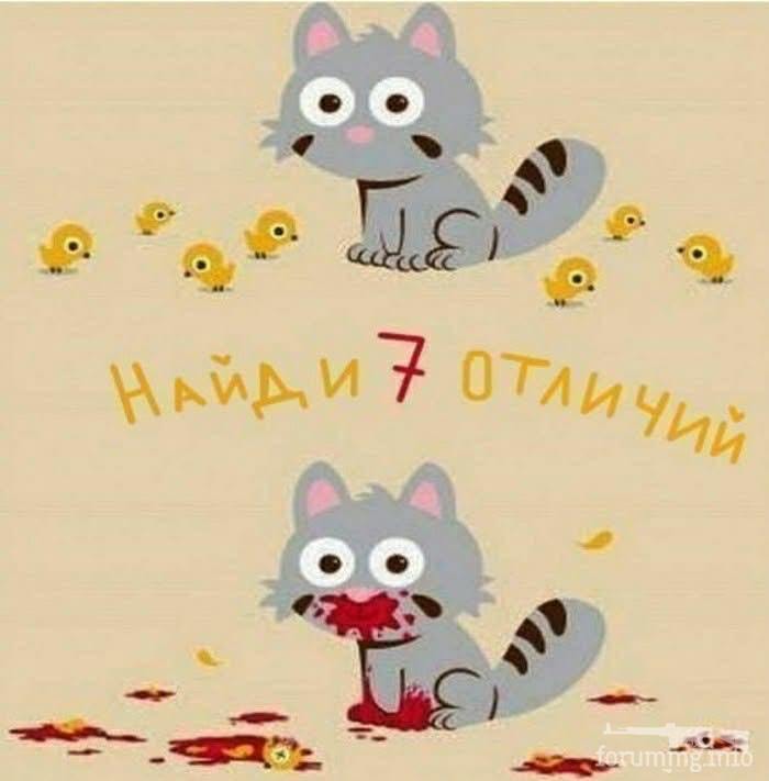 256569