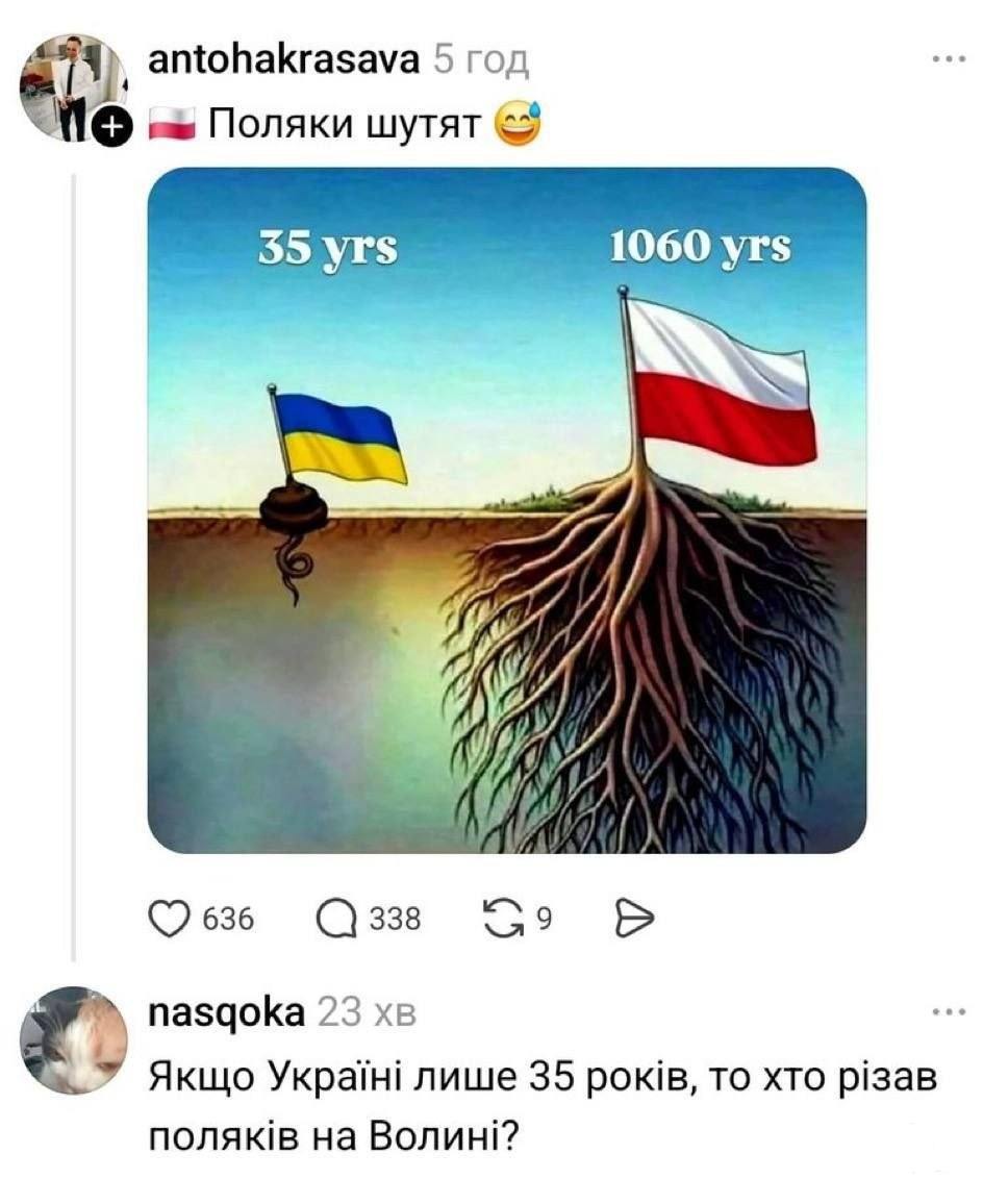 256753