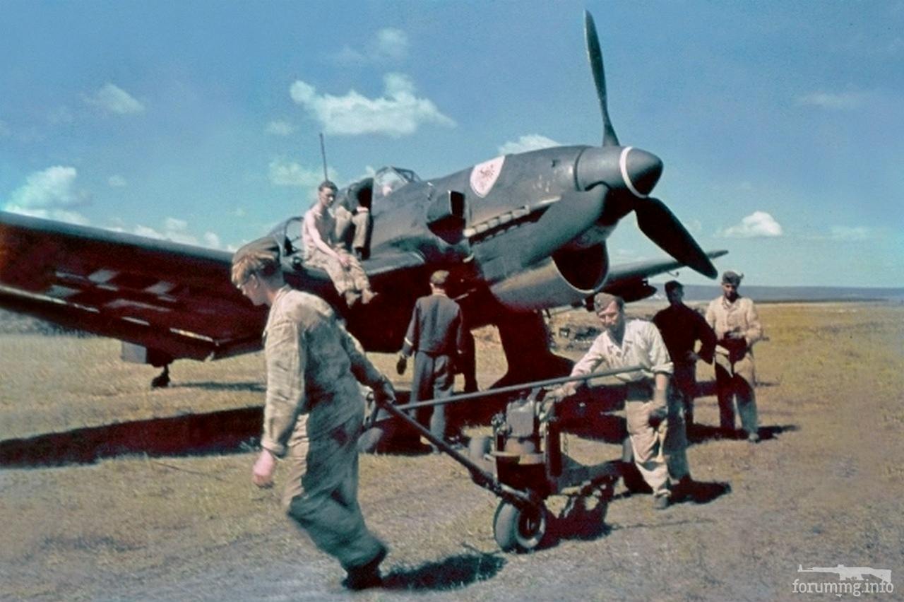 169364 - Военное фото 1941-1945 г.г. Восточный фронт.