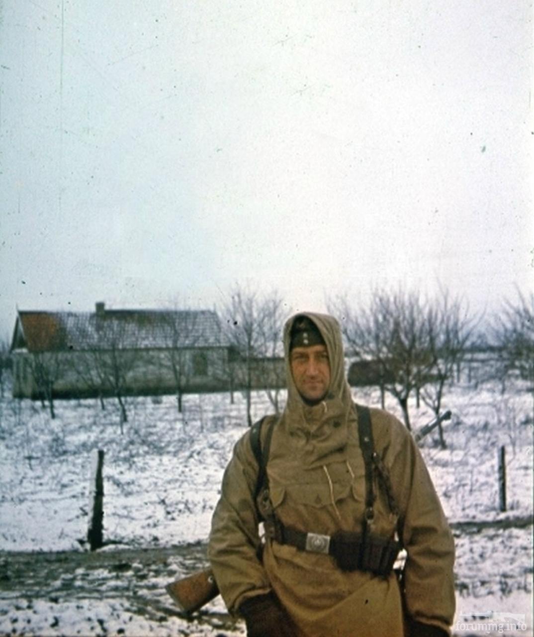 169487 - Военное фото 1941-1945 г.г. Восточный фронт.