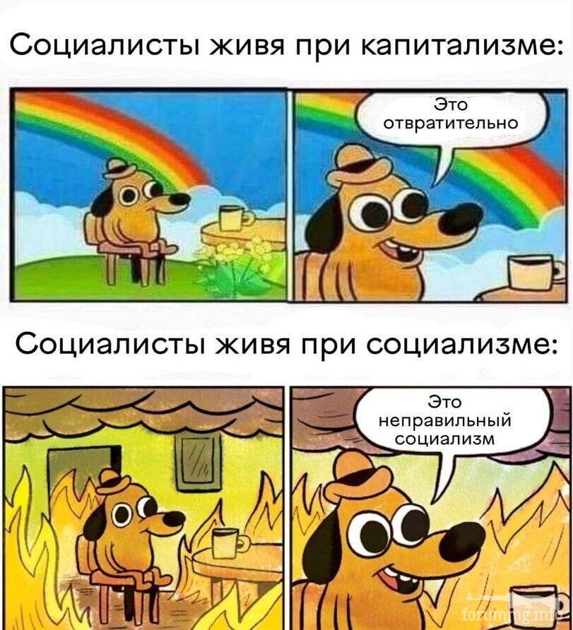 258239