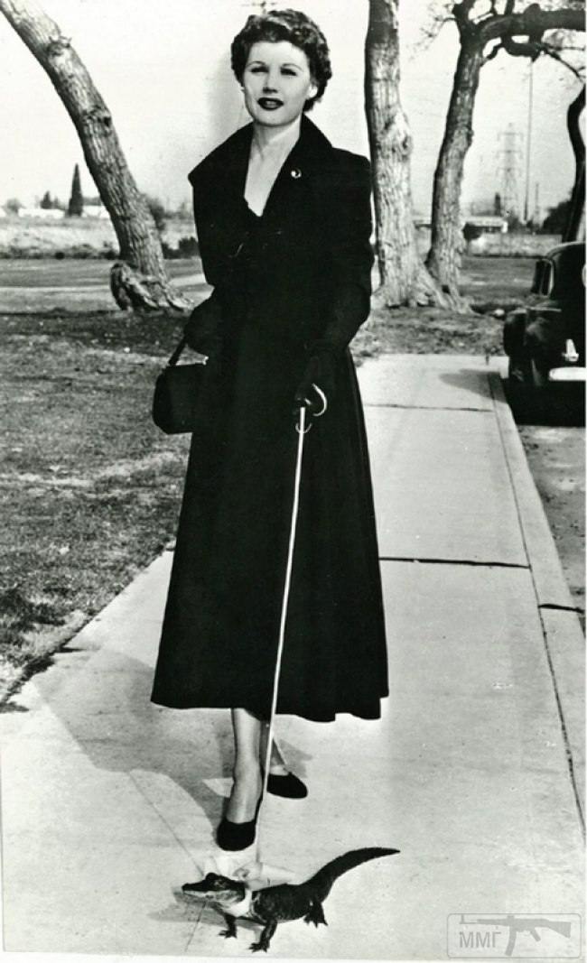 19664