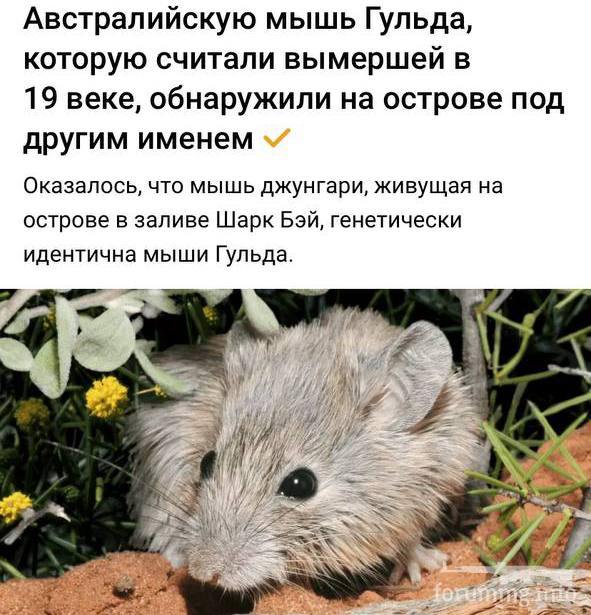 170159 - Разное о животных