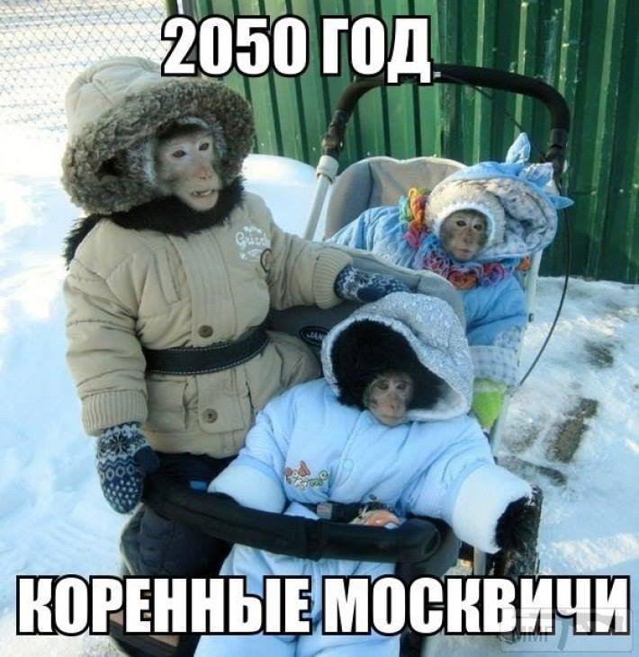 20615 - А в России чудеса!