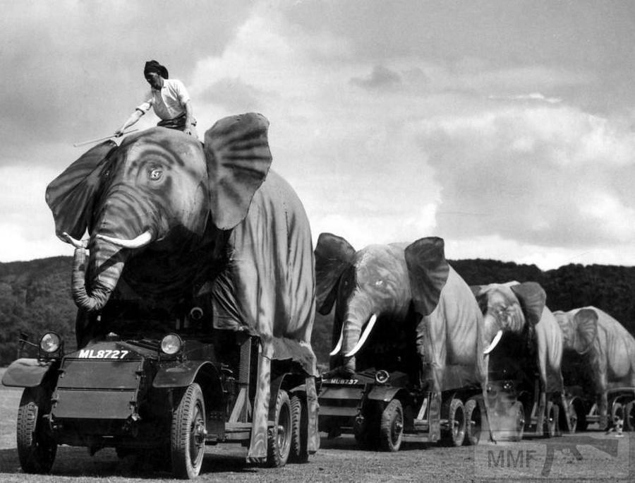 21755 - Военное фото 1939-1945 г.г. Западный фронт и Африка.