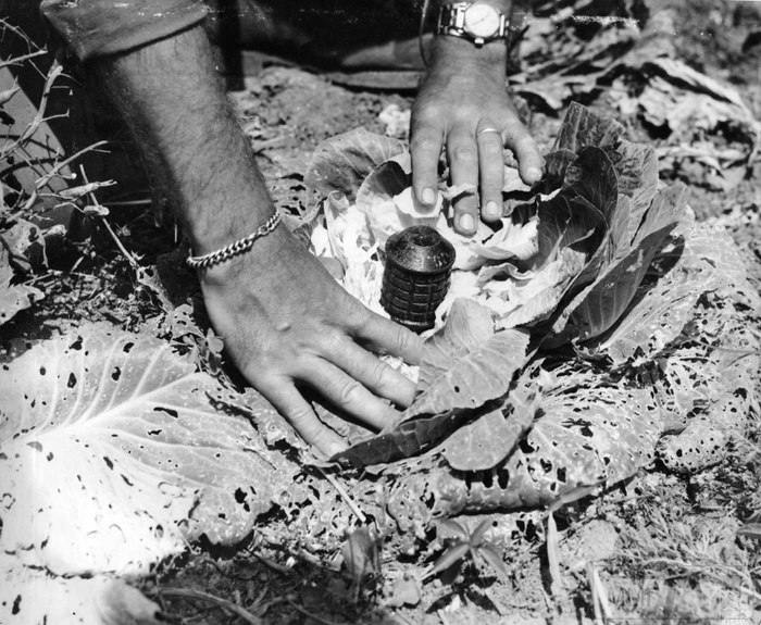 21842 - Военное фото 1941-1945 г.г. Тихий океан.