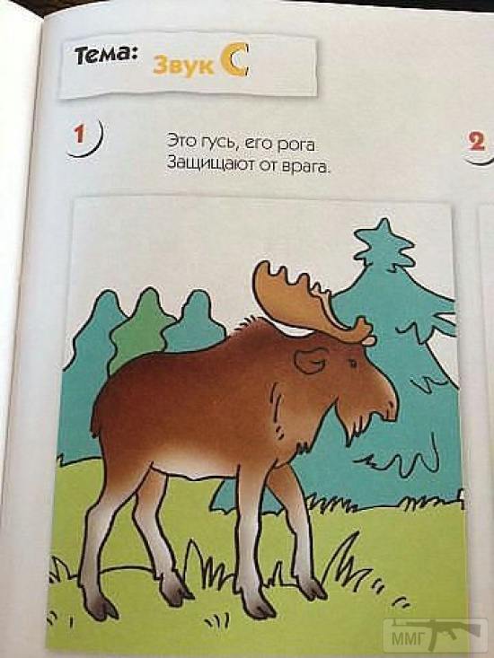 27721