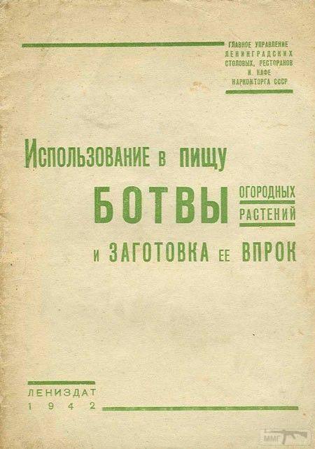 24414 - А в России чудеса!