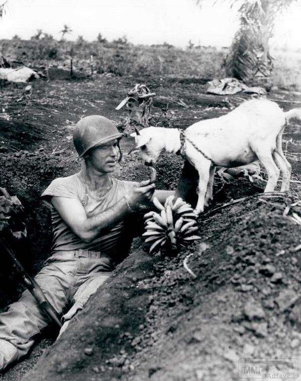 24508 - Военное фото 1941-1945 г.г. Тихий океан.