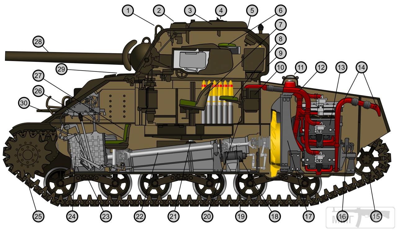 35561