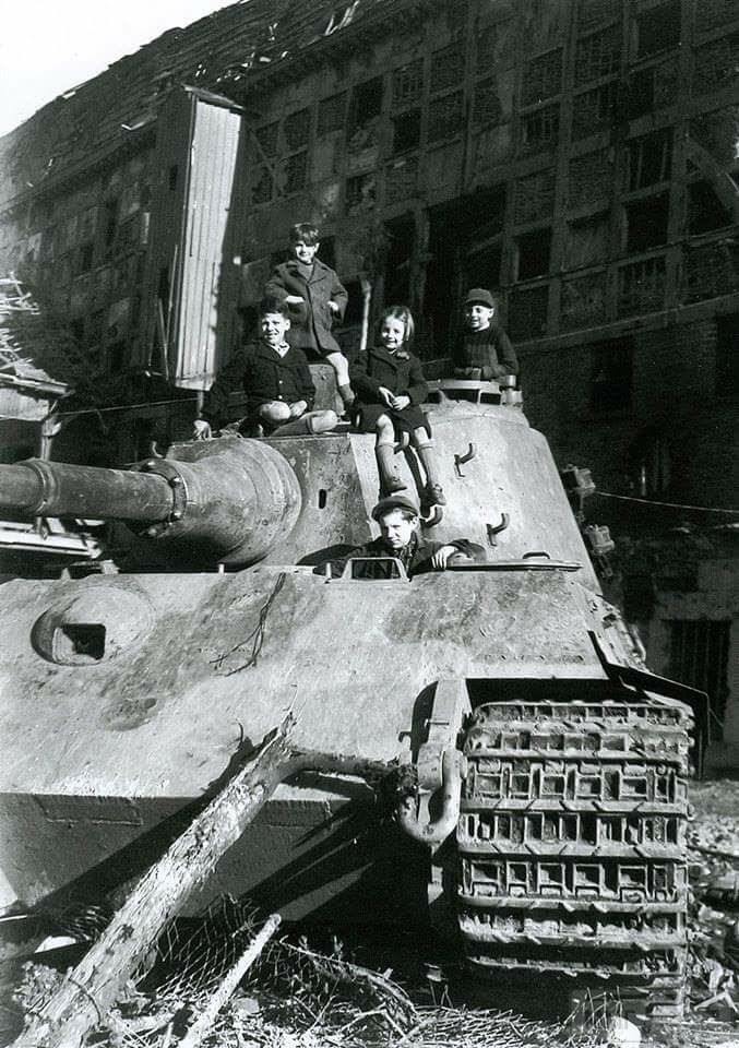 36034