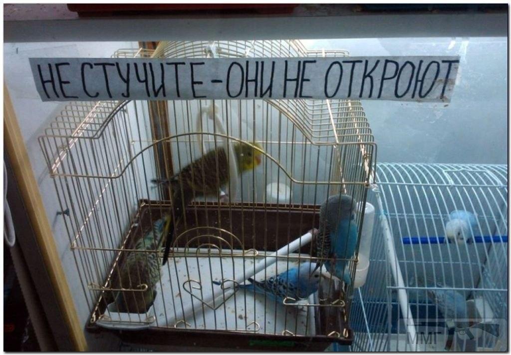 40222
