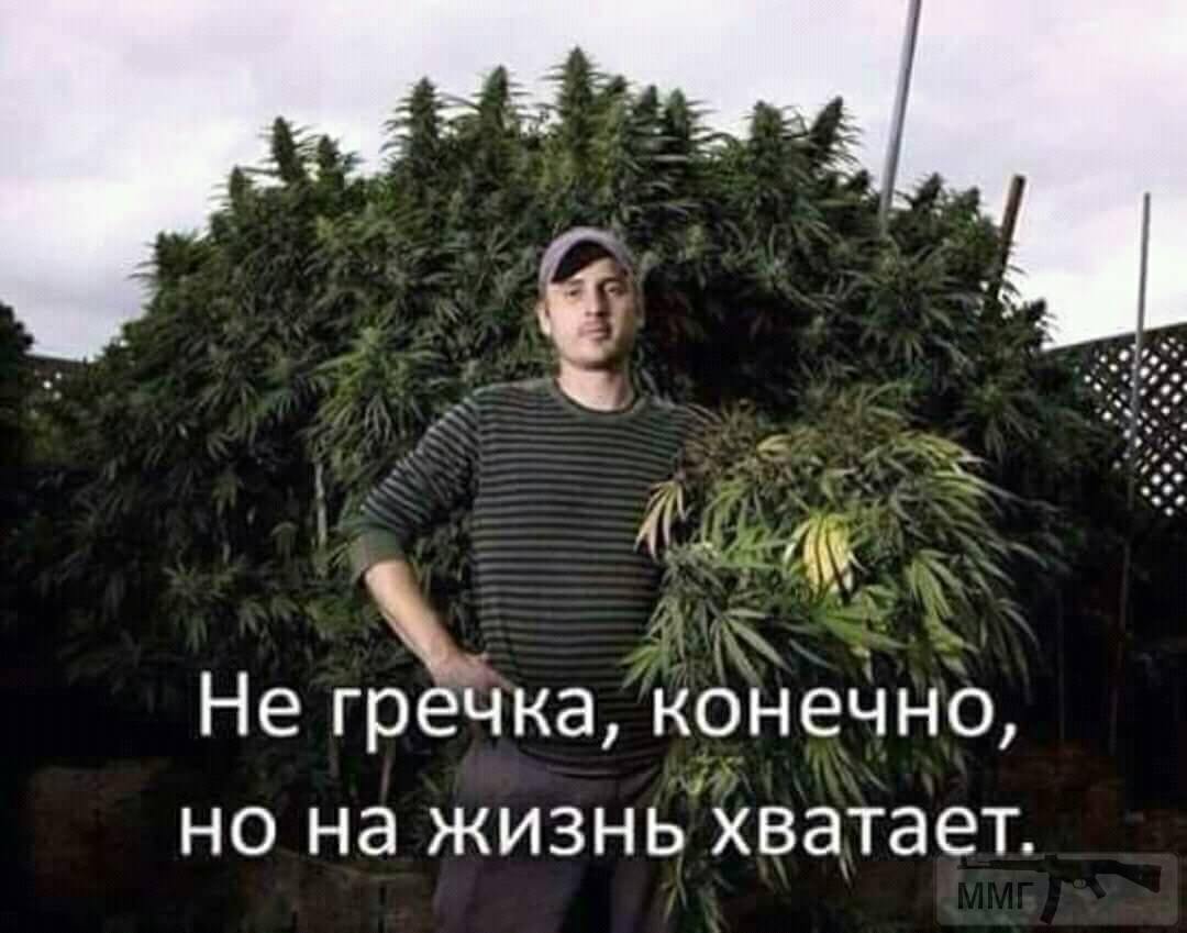40557