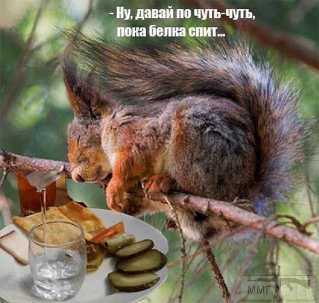 30863 - Пить или не пить? - пятничная алкогольная тема )))