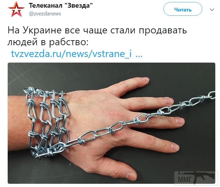 43036