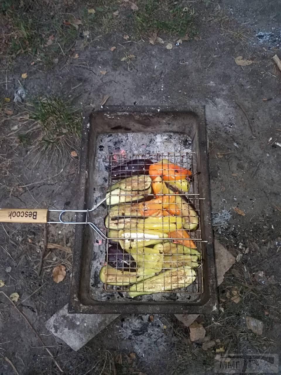 46626