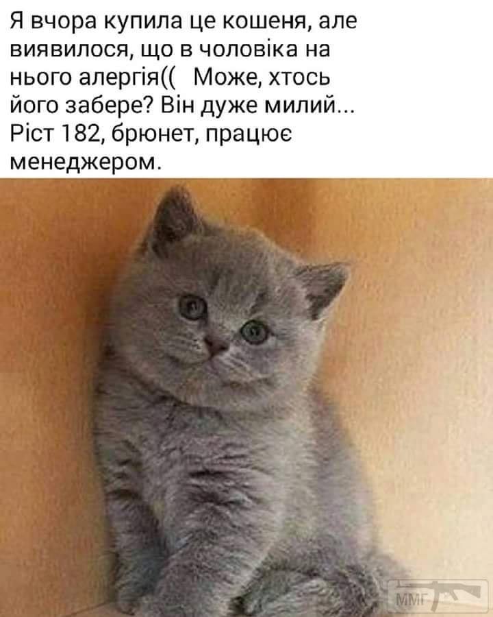 48772