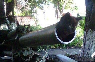 48950
