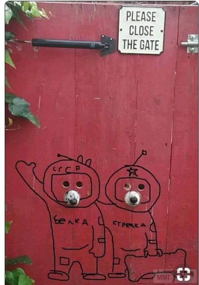 48950