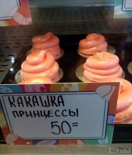 50445