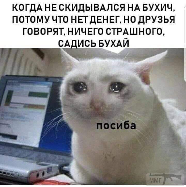 50606