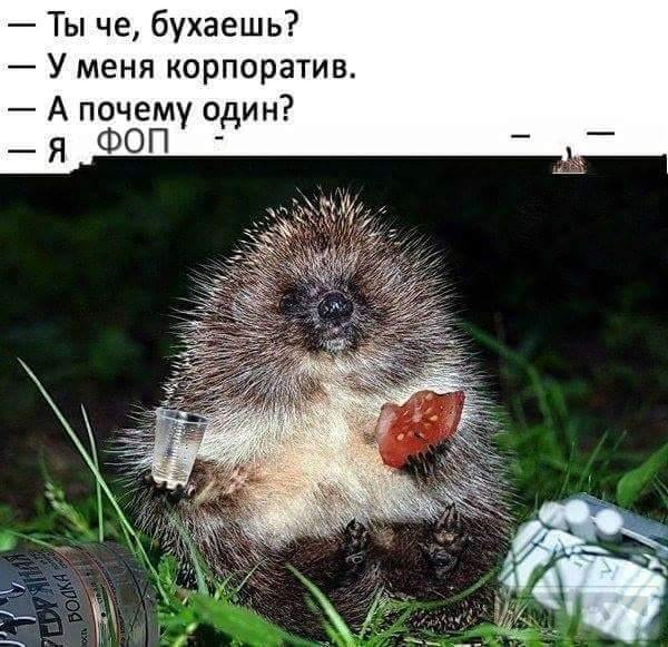 51520
