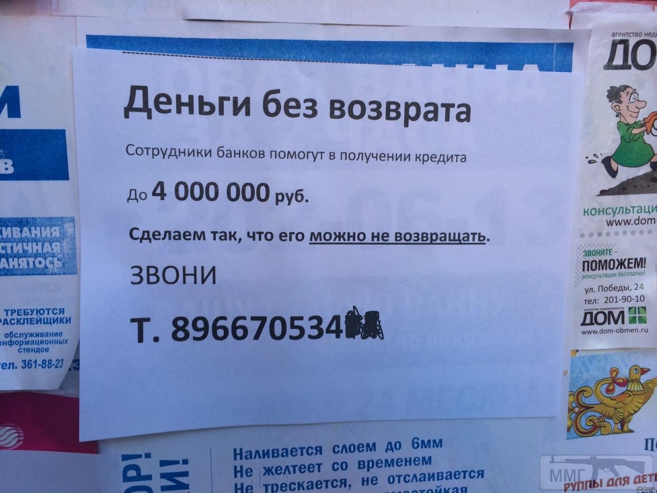 54081