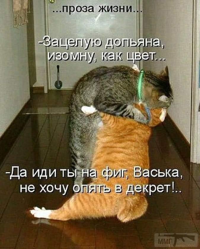 38398 - Отношения между мужем и женой.