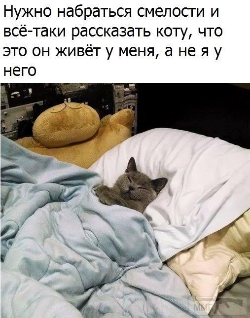 59294
