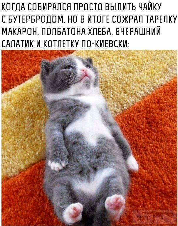 59636