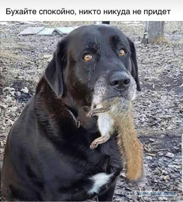 60598