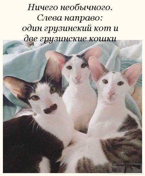 60952