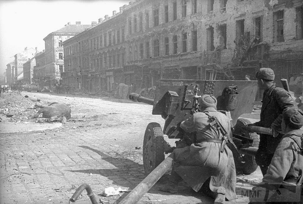 43165 - Военное фото 1941-1945 г.г. Восточный фронт.